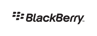 web design bali logo blackberry - Web Development Bali